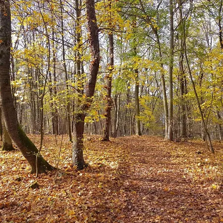 Gemütliche Am Ortsrand * Kreuzwertheim