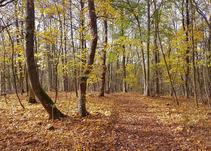 Gemuetliche Am Ortsrand * Kreuzwertheim