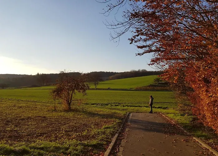 Gemuetliche Am Ortsrand Kreuzwertheim
